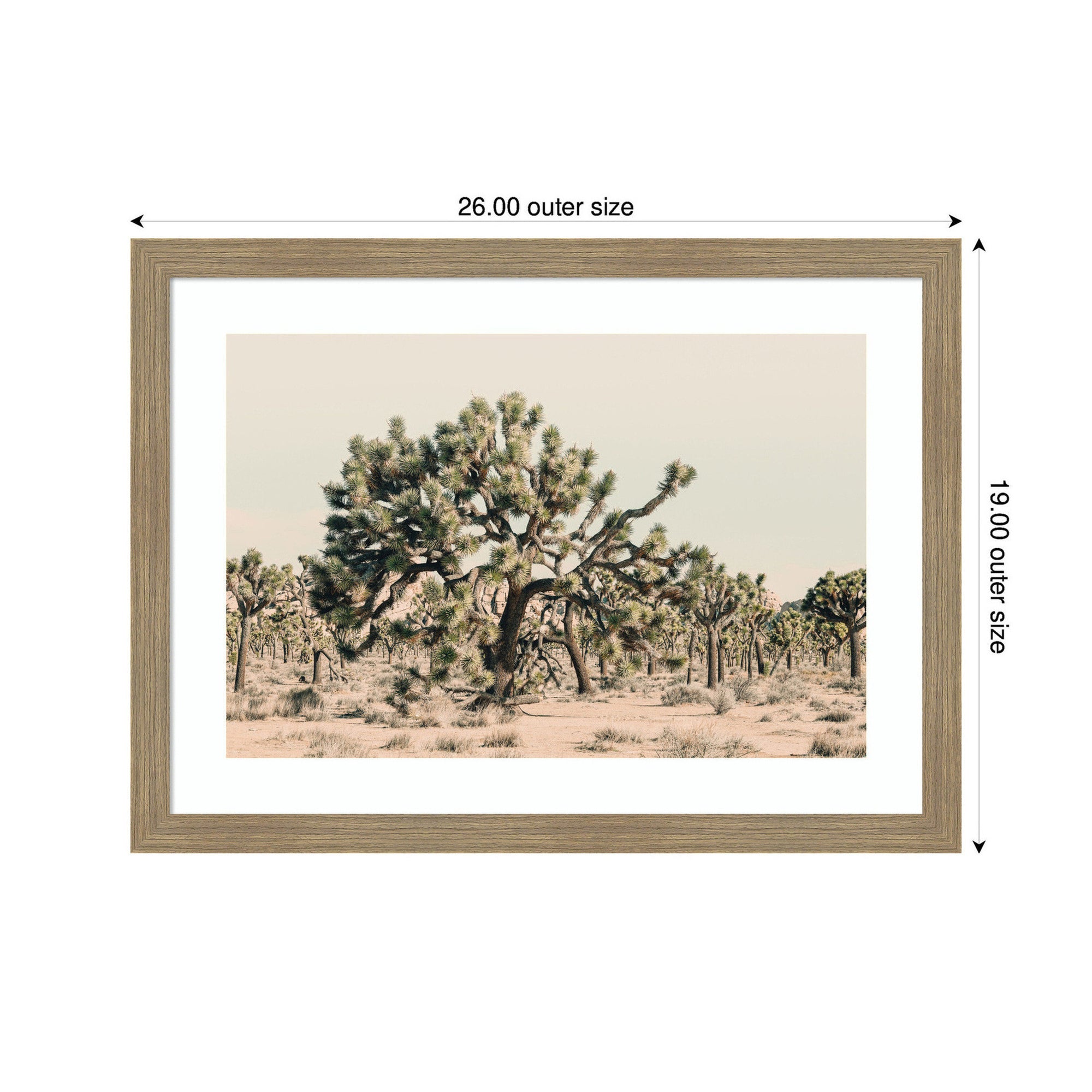 Joshua Tree No. 1 by Alicia Bock Framed Wall Art Print