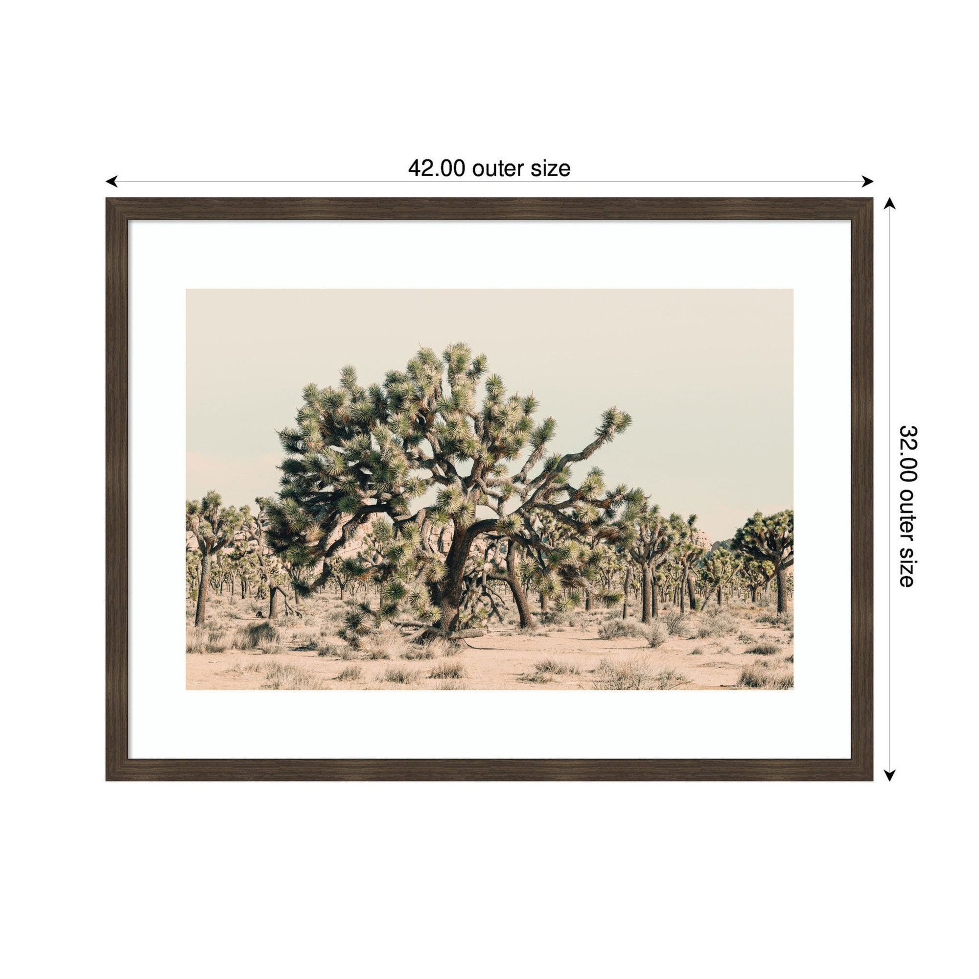 Joshua Tree No. 1 by Alicia Bock Framed Wall Art Print