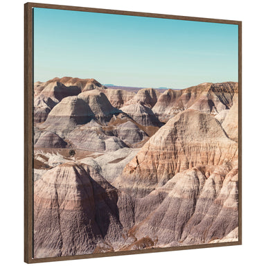 Framed Canvas 30x30 Sylvie Walnut 1