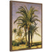 Framed Canvas 18x24 Sylvie Walnut 1