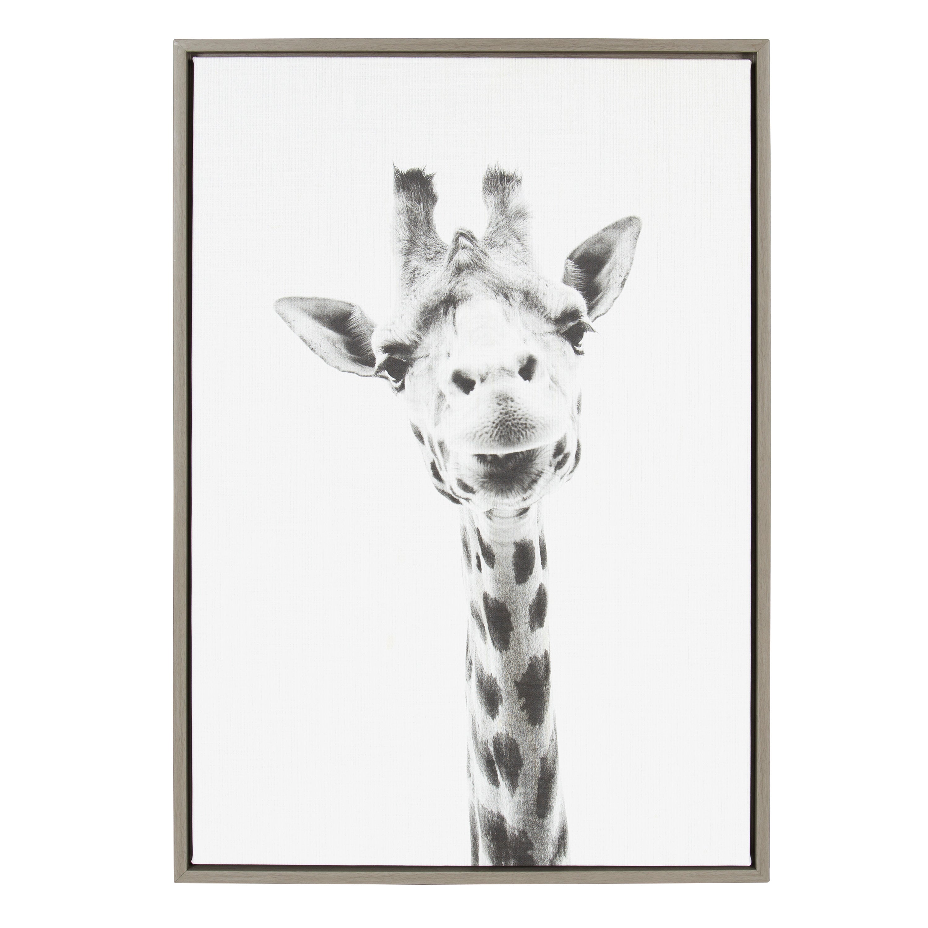 Framed Canvas Sylvie Graywash 23x33 1