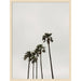 Mounted Canvas 29x38 Woodgrain Stripe Blonde 1