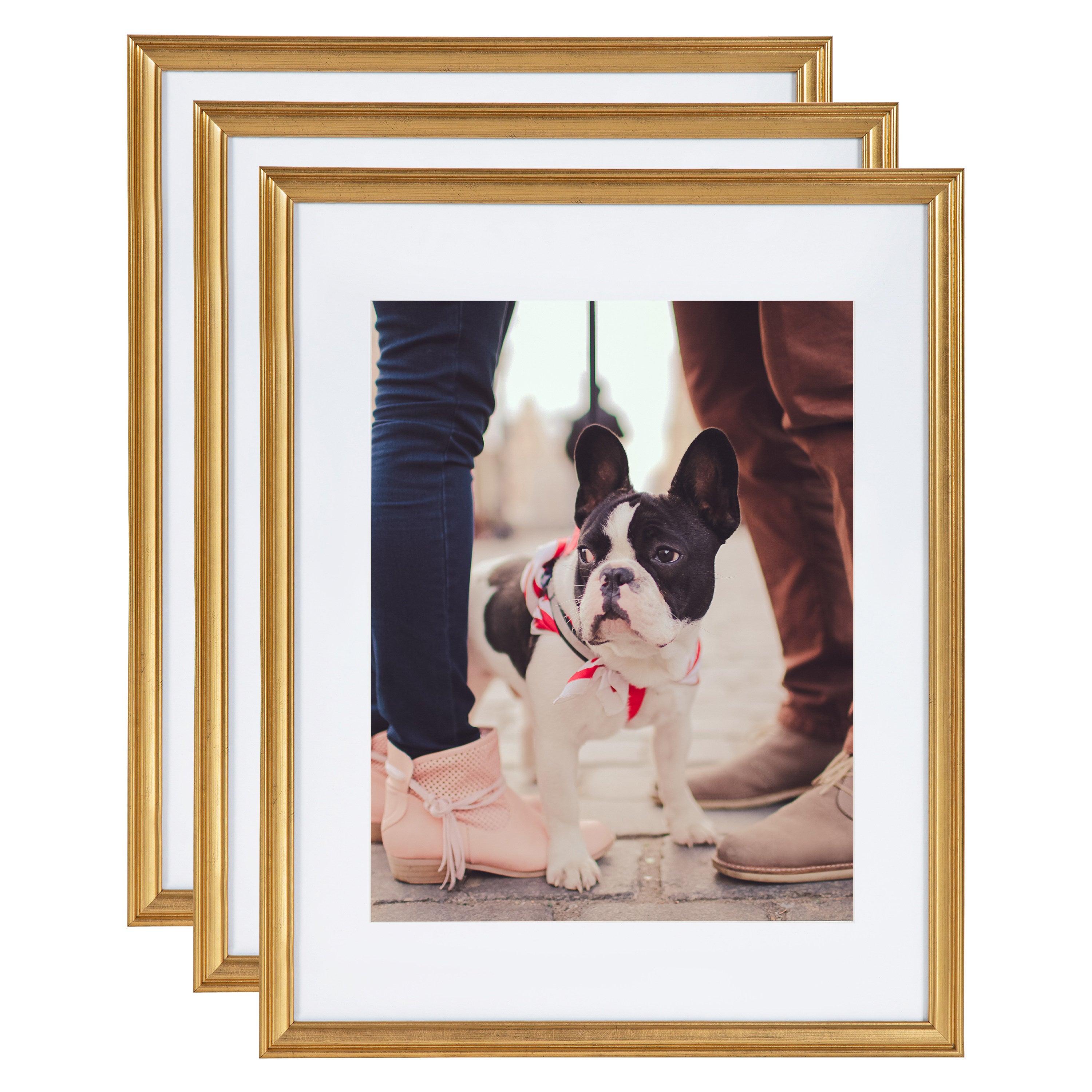 Wall Frame Gold 14x18 matted to 11x14 1