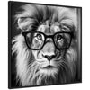 Sylvie Black and White Lion in Reading Glasses Framed Canvas by The Creative Bunch Studio