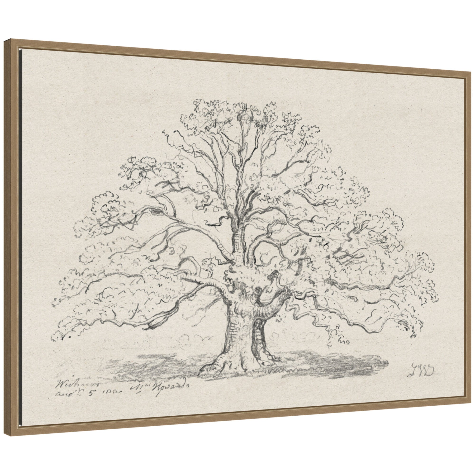 Framed Canvas 33x23 Sylvie Dark Gold 1