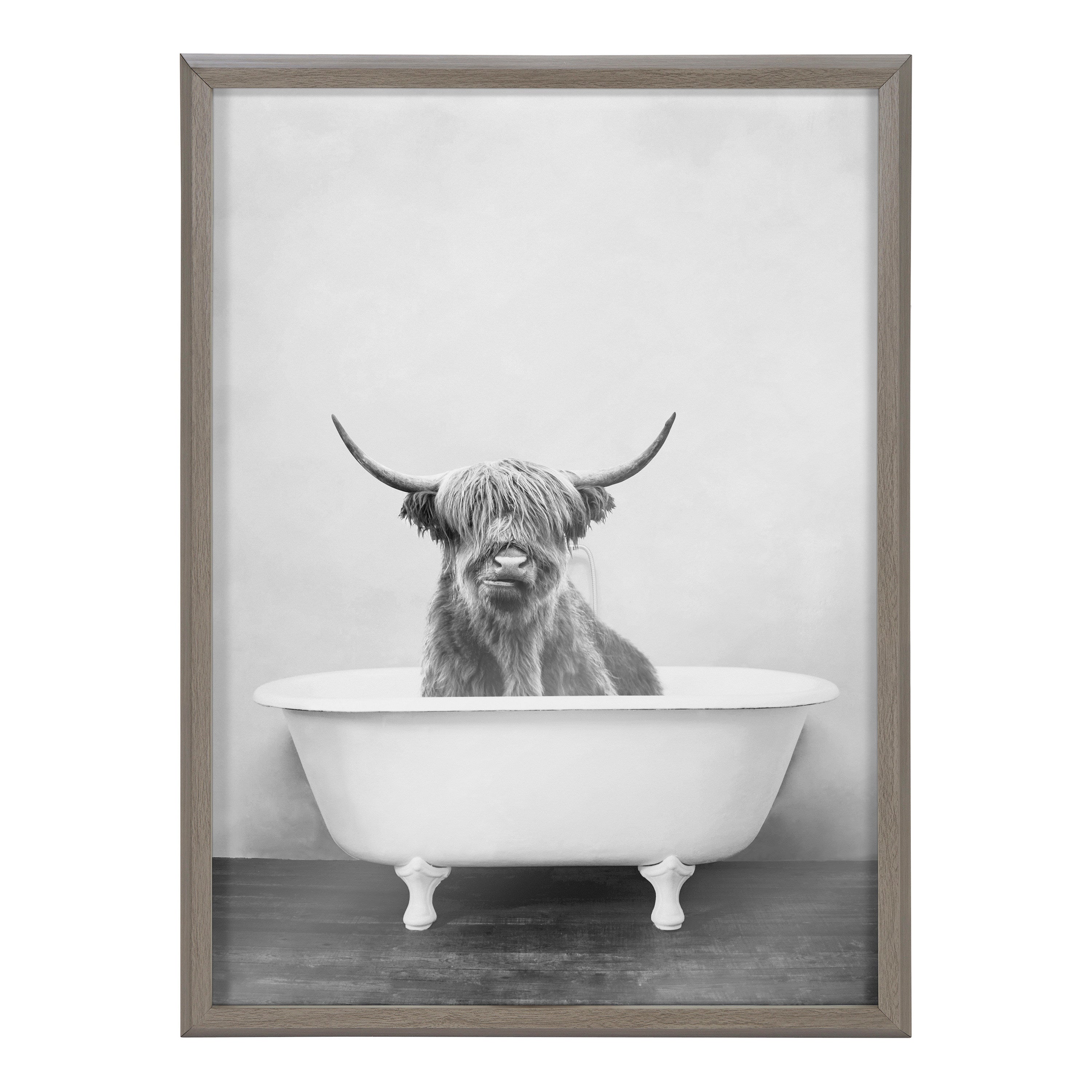 Blake Highland Cow in the Tub BW Framed Printed Glass by Amy Peterson Art Studio