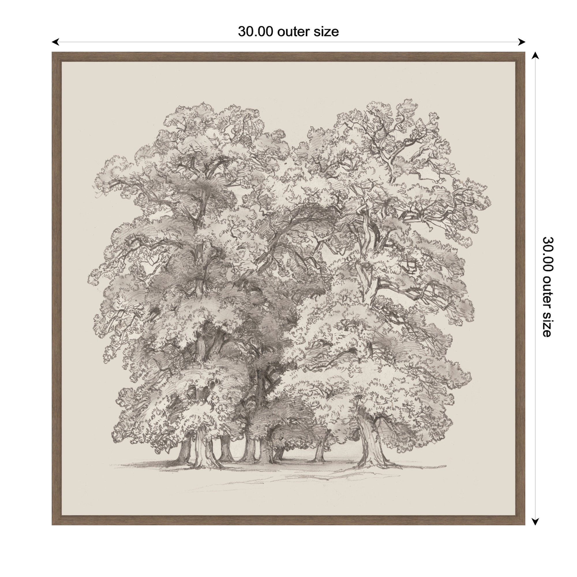 Framed Canvas 30 x 30 Sylvie Walnut 2