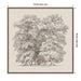Framed Canvas 30 x 30 Sylvie Walnut 2