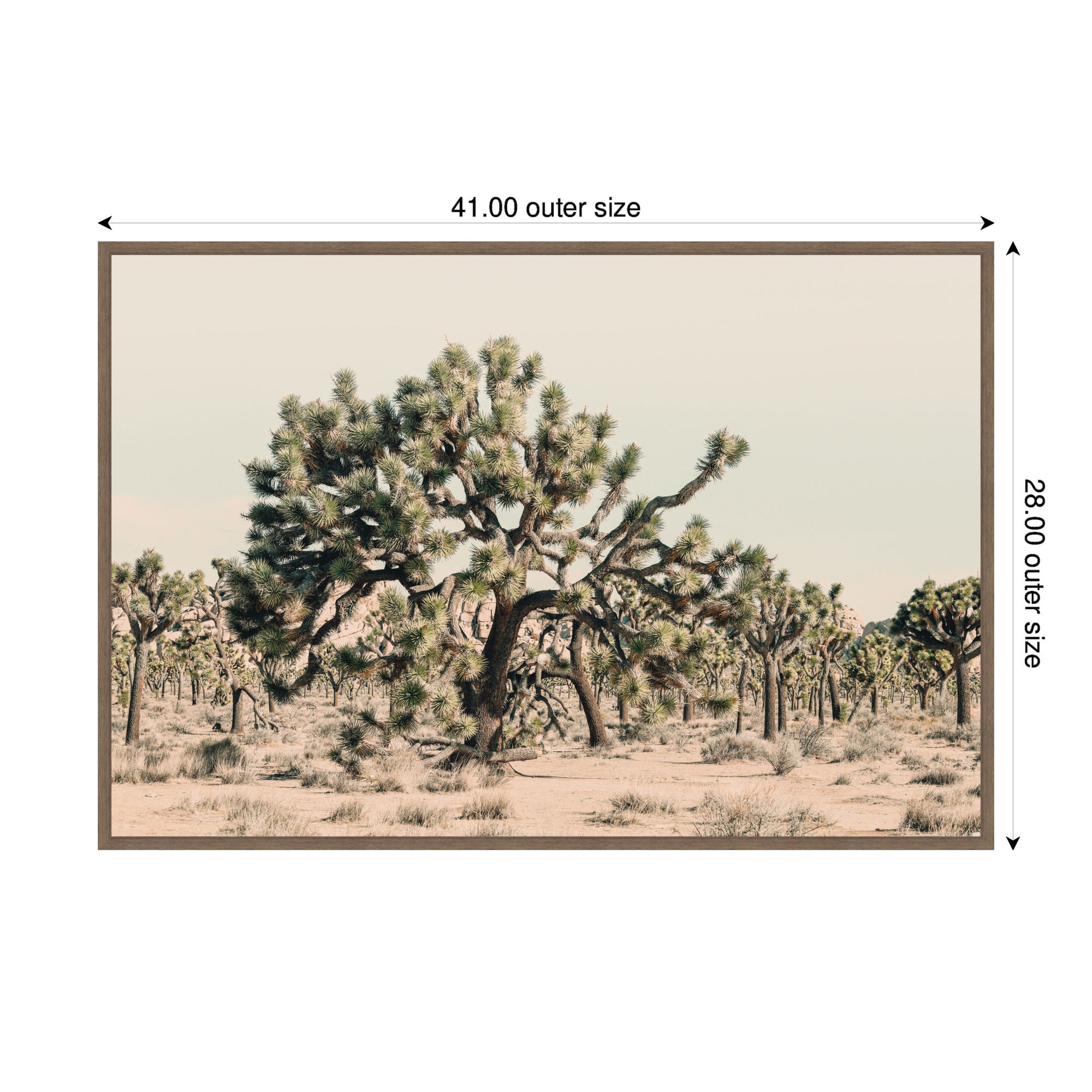 Joshua Tree No. 1 by Alicia Bock Framed Canvas Wall Art Print