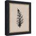 Mounted Canvas Belmont Black 10x12 1