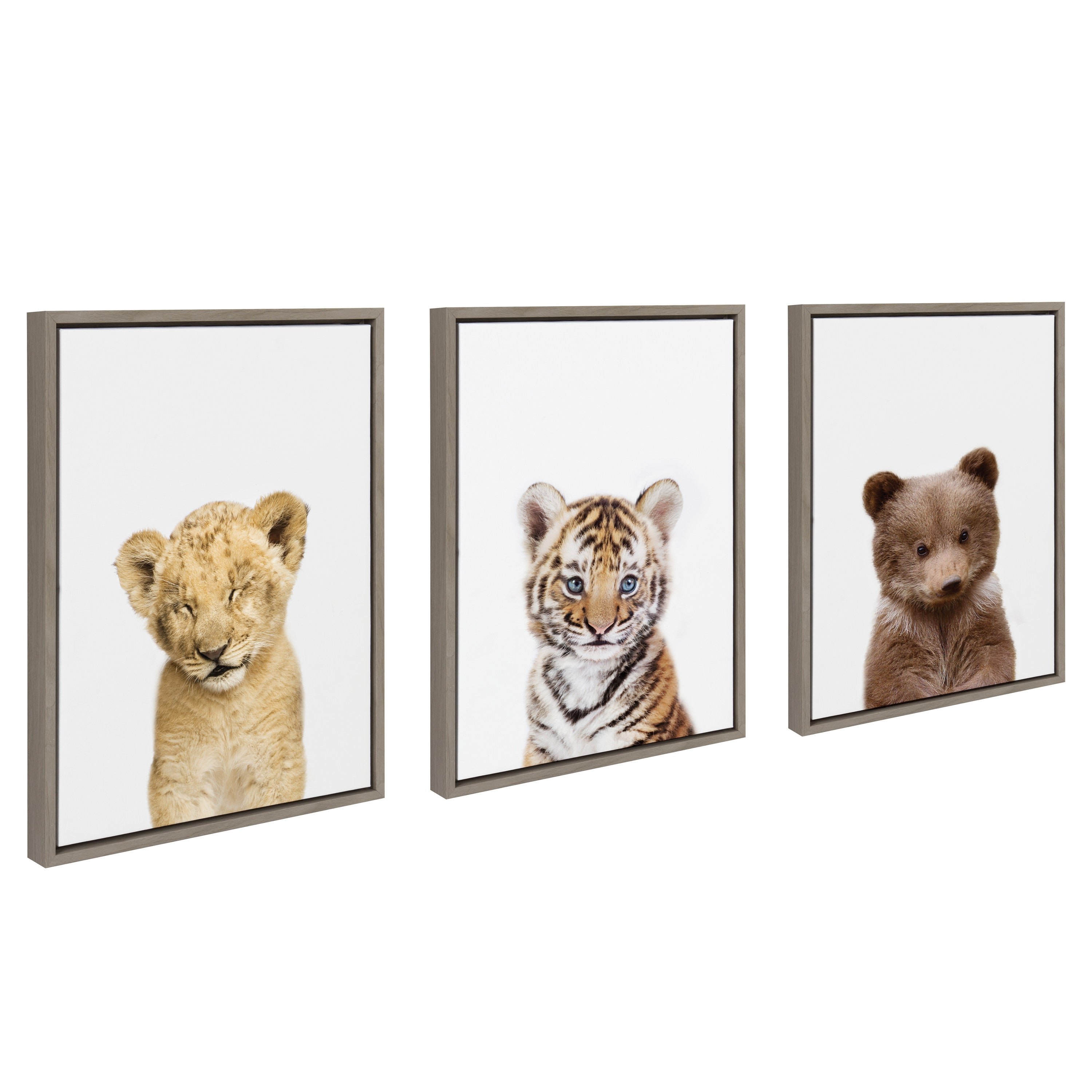 Sylvie Lions and Tigers and Bears Framed Canvas Art Set by Amy Peterson Art Studio