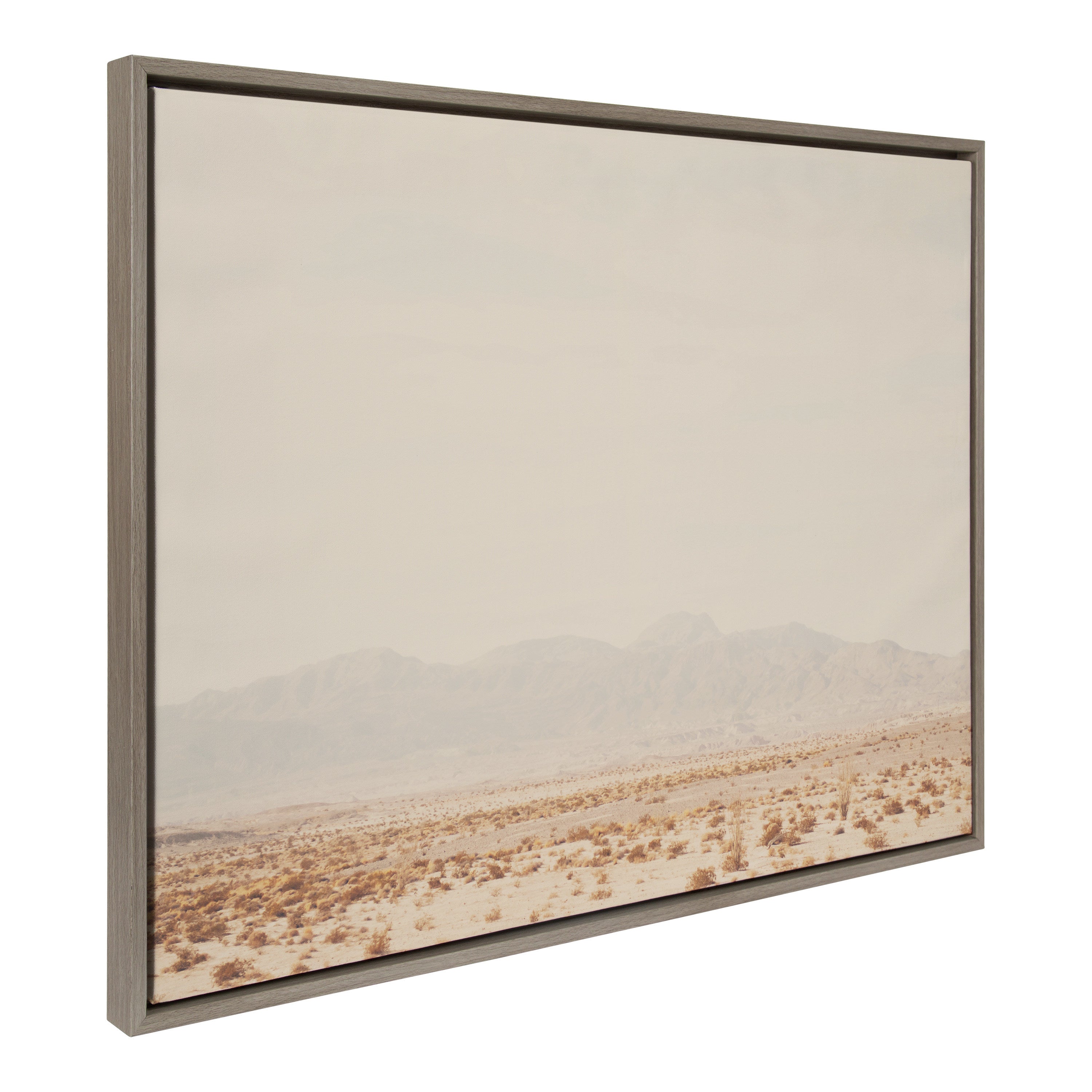 Framed Canvas Sylvie Graywash 28x38 1