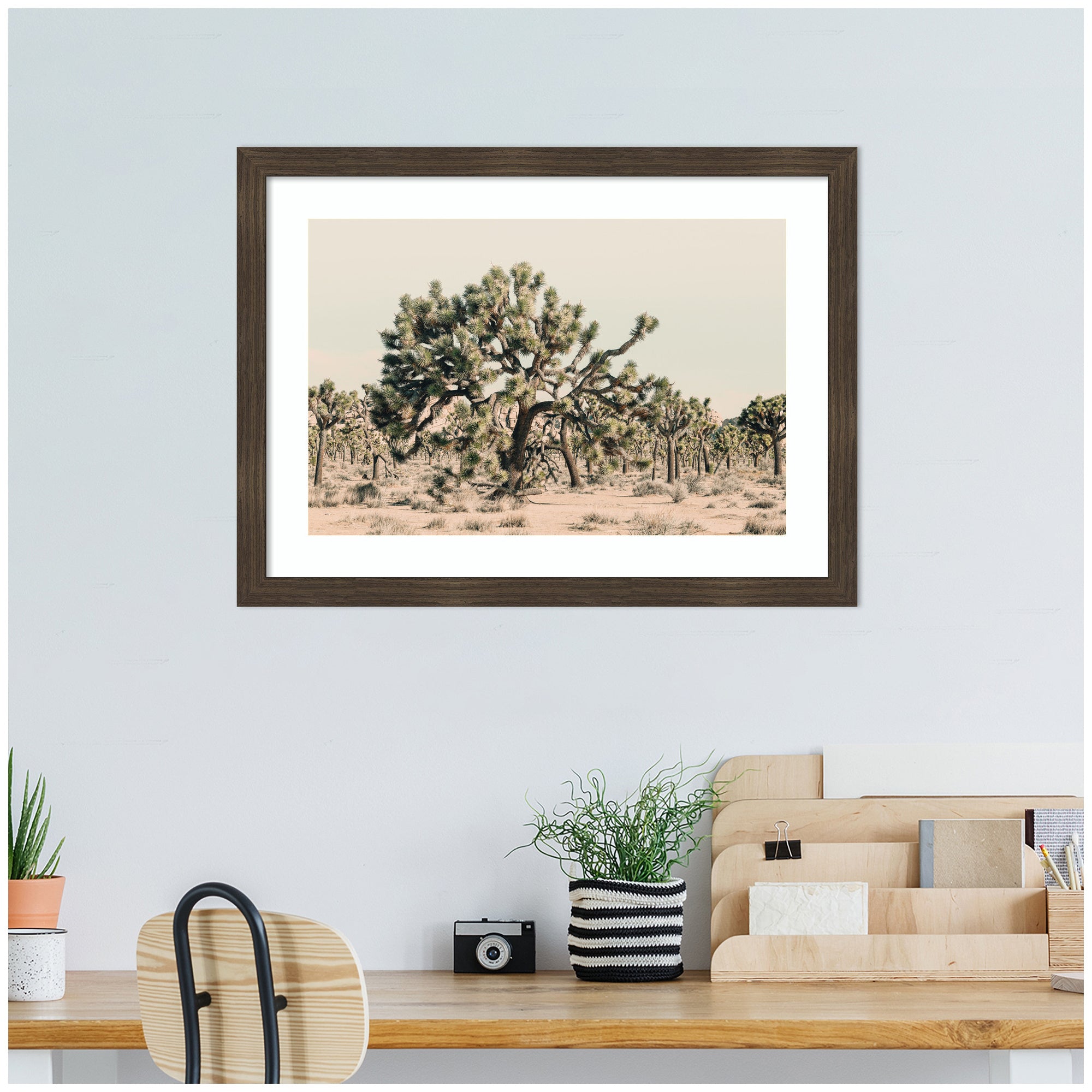Joshua Tree No. 1 by Alicia Bock Framed Wall Art Print