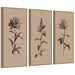 Art Set Sylvie Dark Gold 3 Piece Set 18x40 1