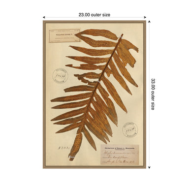 Framed Canvas 23x33 Sylvie Dark Gold 2
