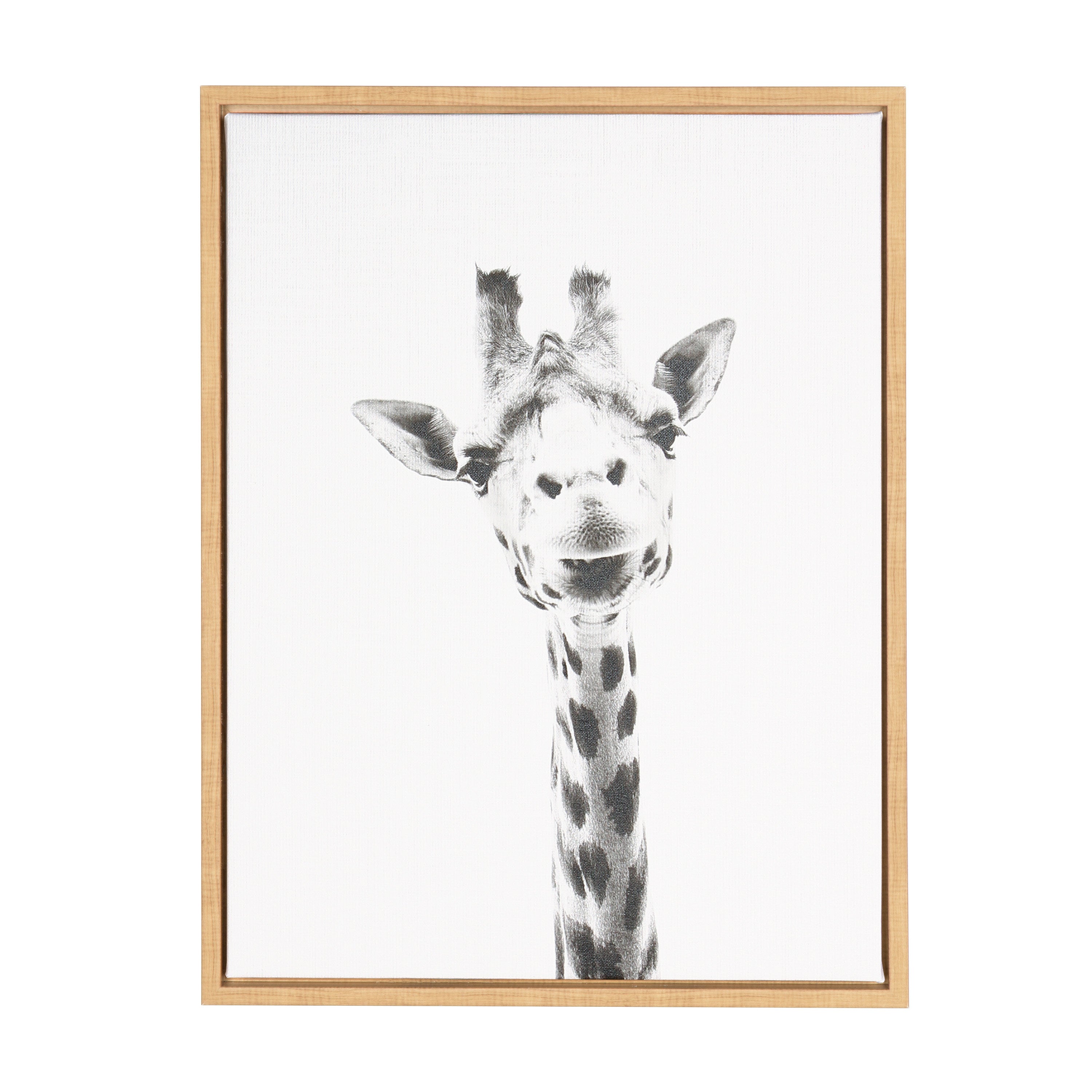 Framed Canvas Sylvie Natural 18x24 1