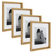Wall Frame Gold 11x14 matted to 8x10 1