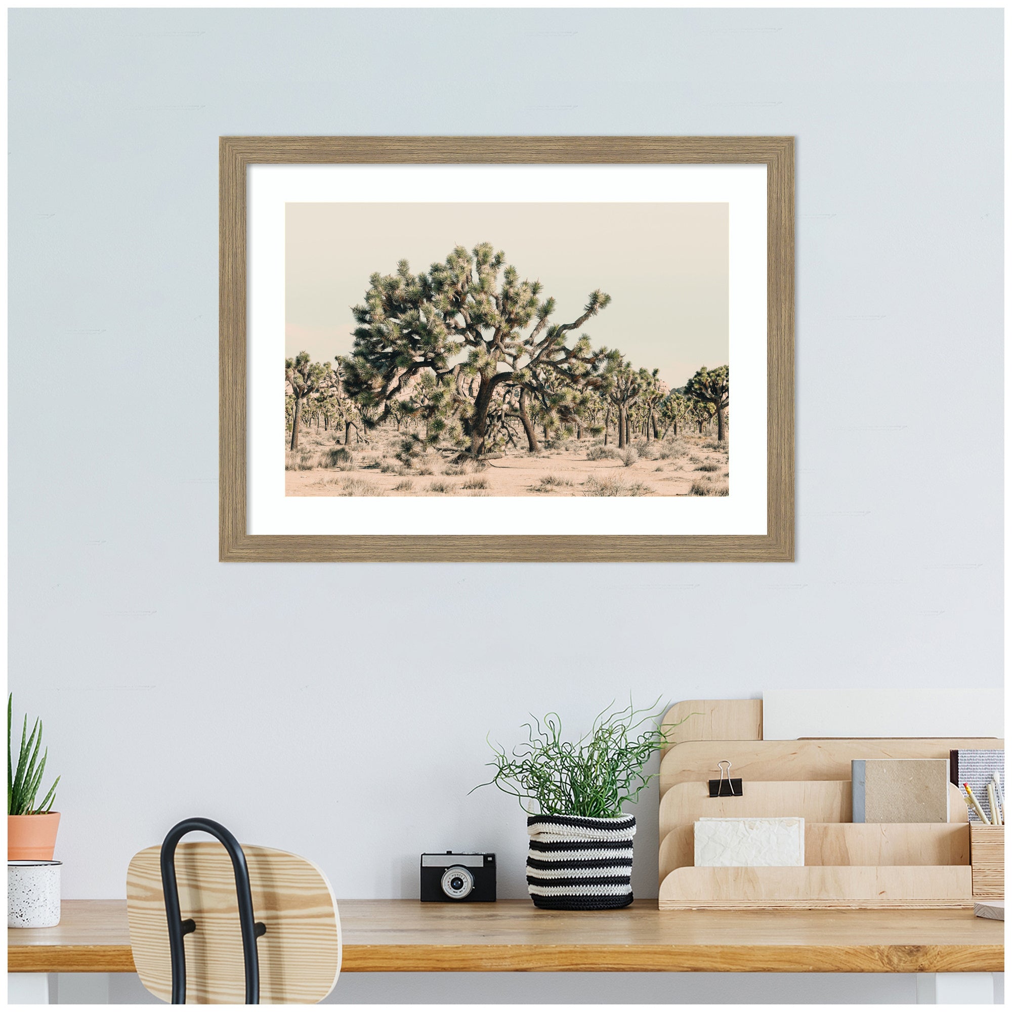 Joshua Tree No. 1 by Alicia Bock Framed Wall Art Print