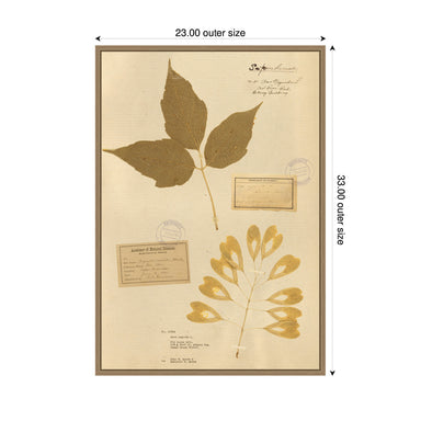 Framed Canvas 23x33 Sylvie Dark Gold 2