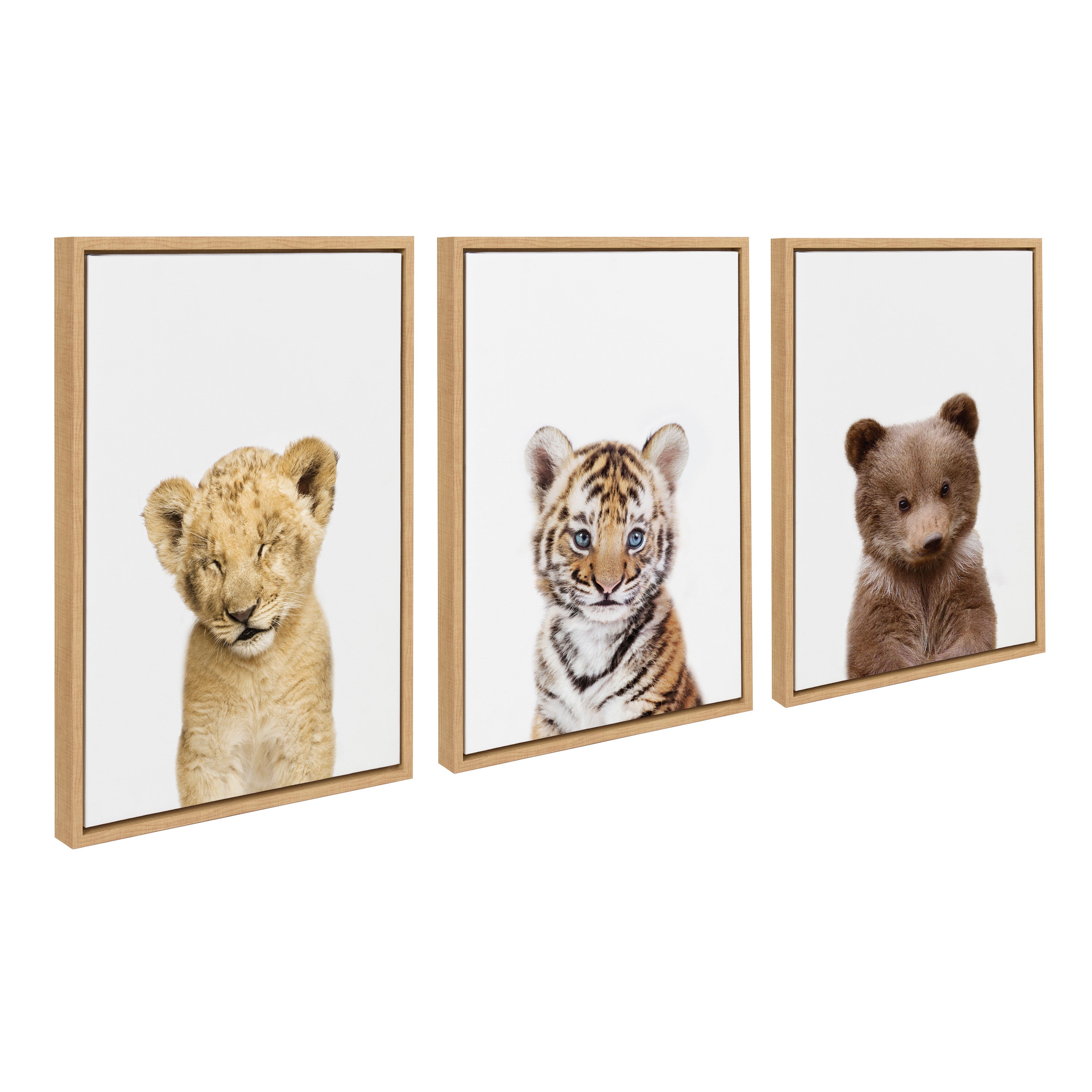 Sylvie Lions and Tigers and Bears Framed Canvas Art Set by Amy Peterson Art Studio