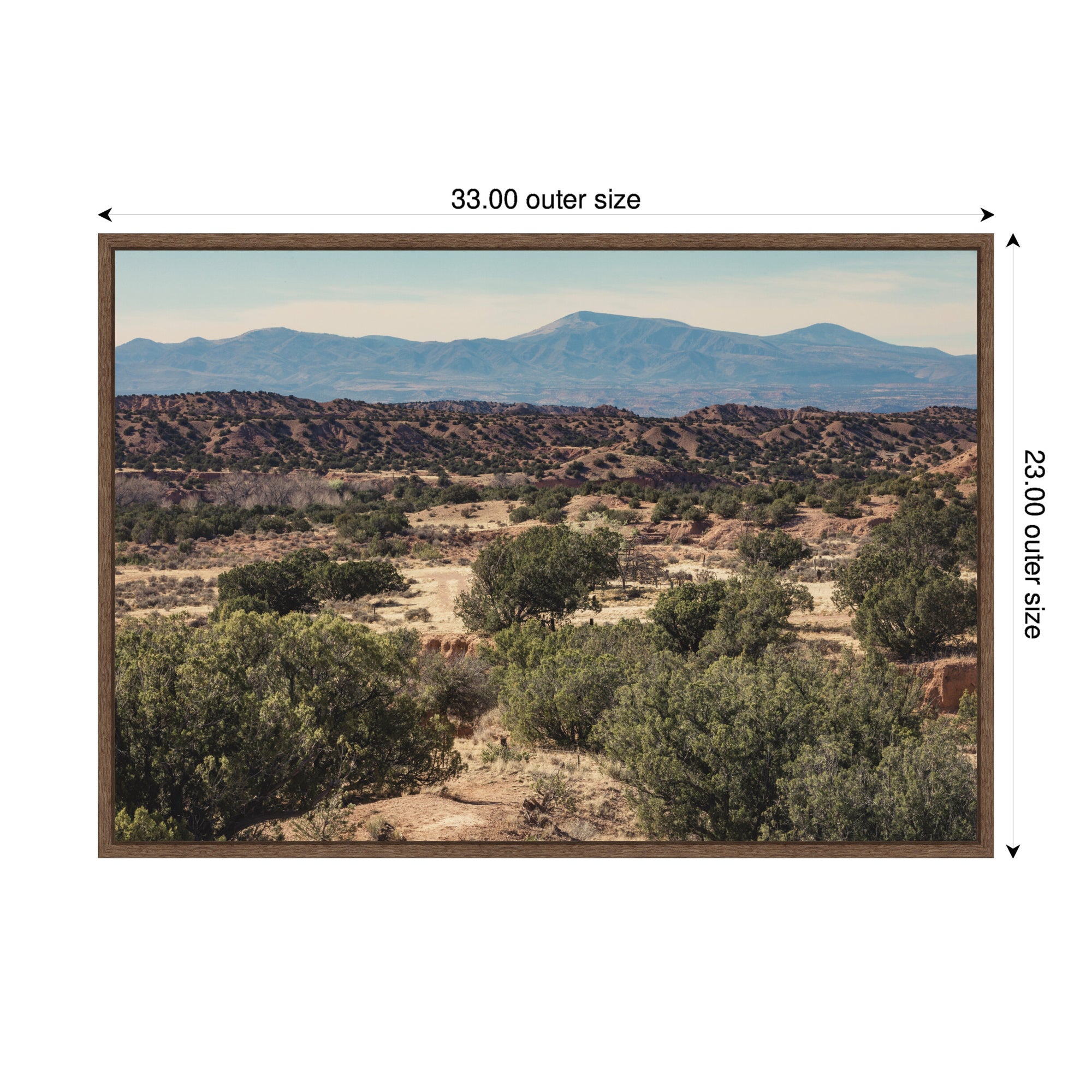 Framed Canvas 33x23 Sylvie Walnut 2