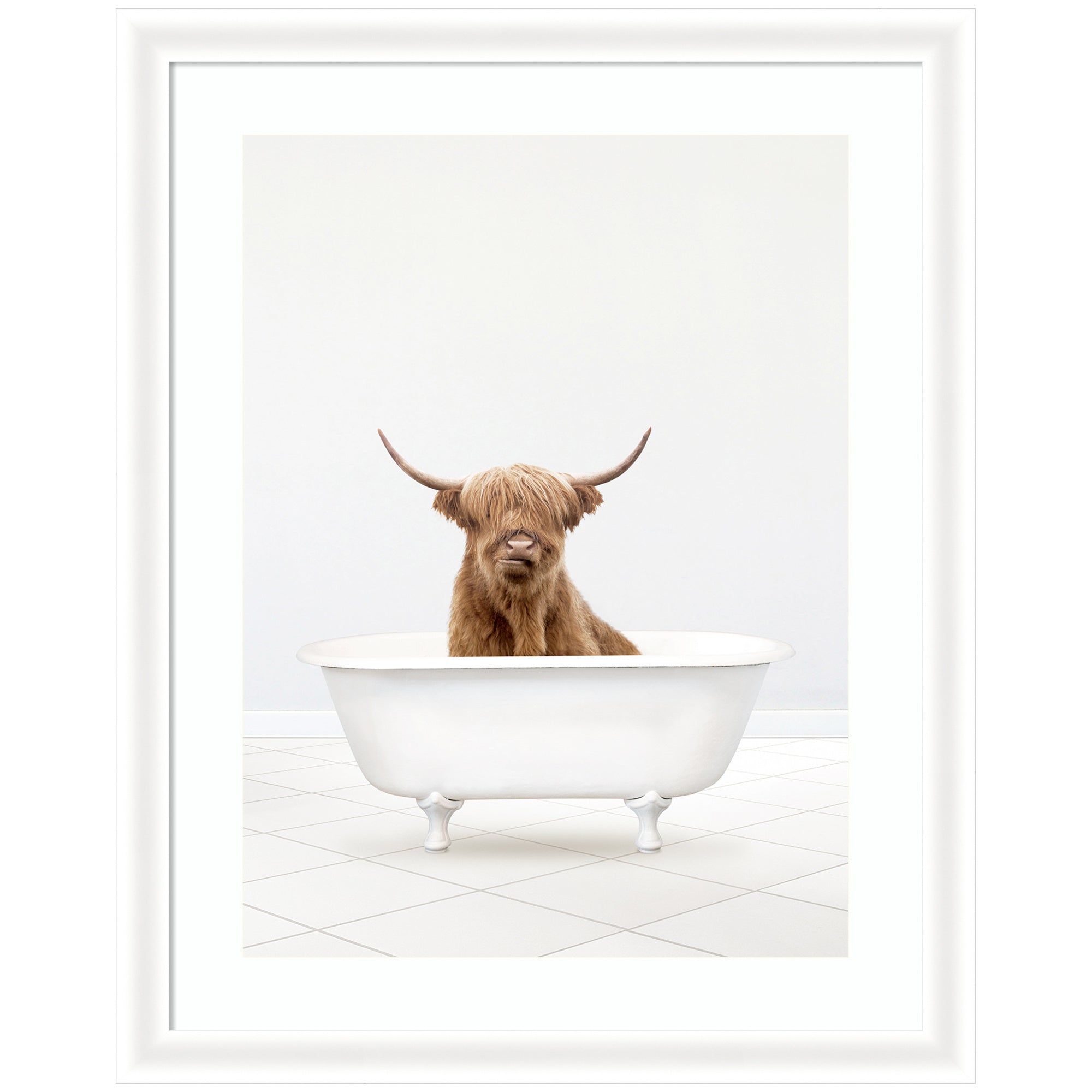 Highland Cow Solo Bathtub by Amy Peterson Framed Wall Art Print