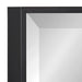 Rectangle Mirror Black 24.75x36.75 3