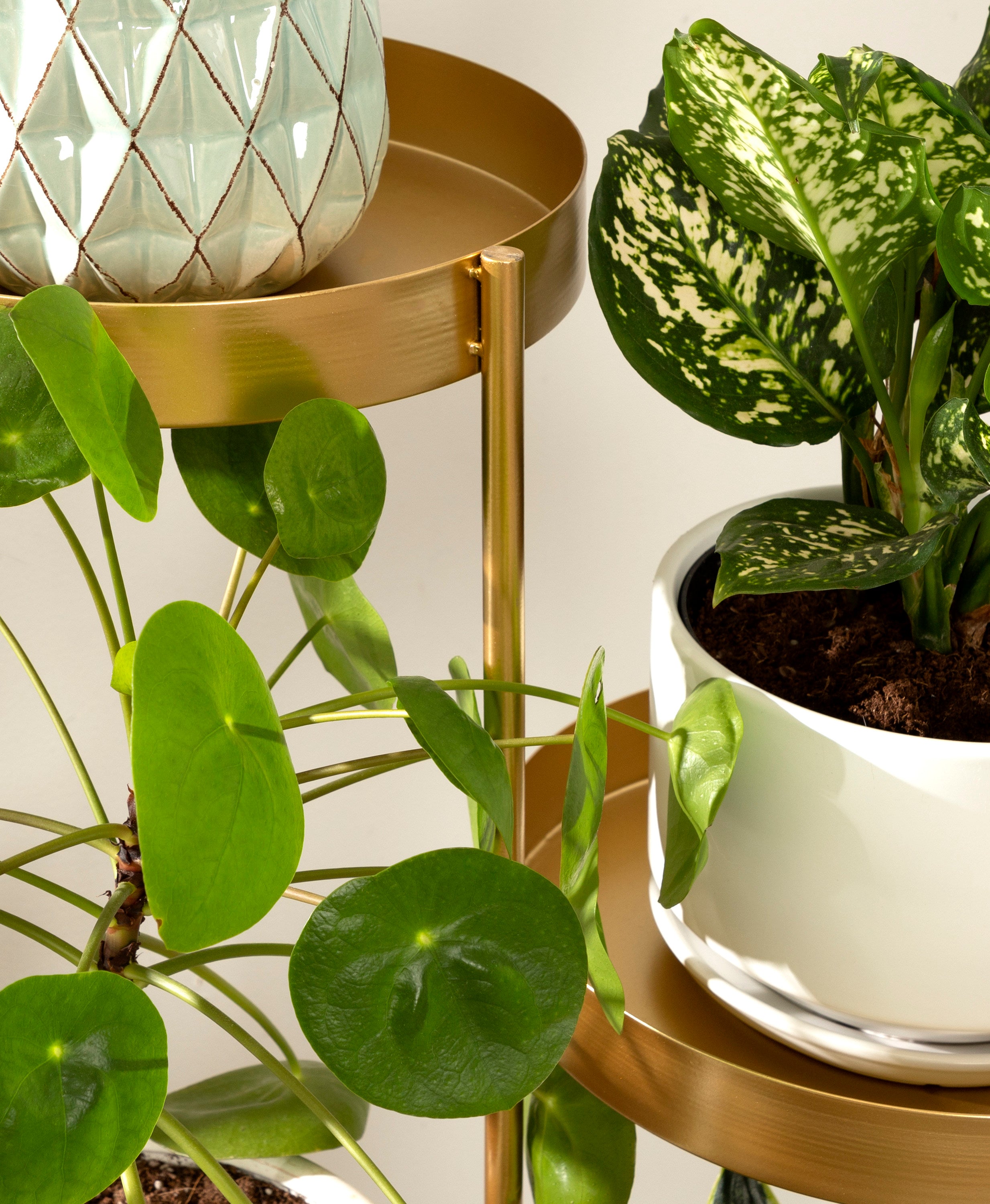 Finn Metal Multi Level Plant Stand