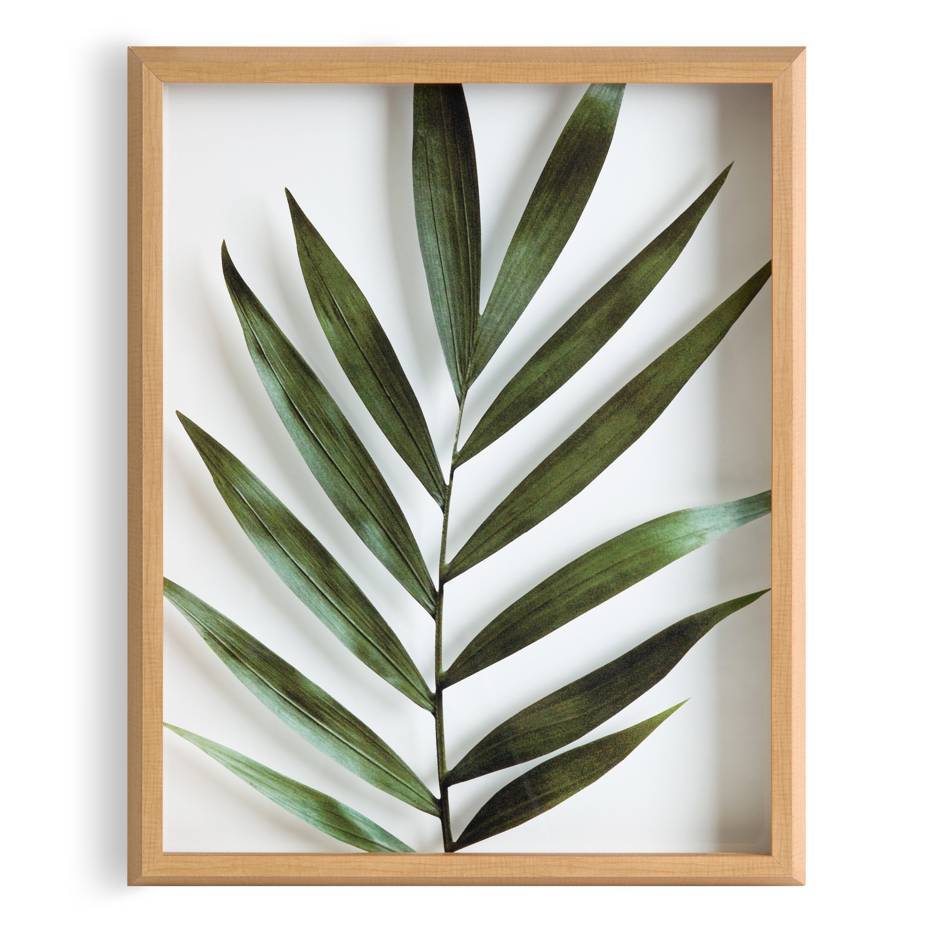 Blake Botanical 5F Framed Printed Glass by Amy Peterson