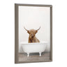 Blake Highland Cow in Tub Color Framed Printed Glass by Amy Peterson Art Studio