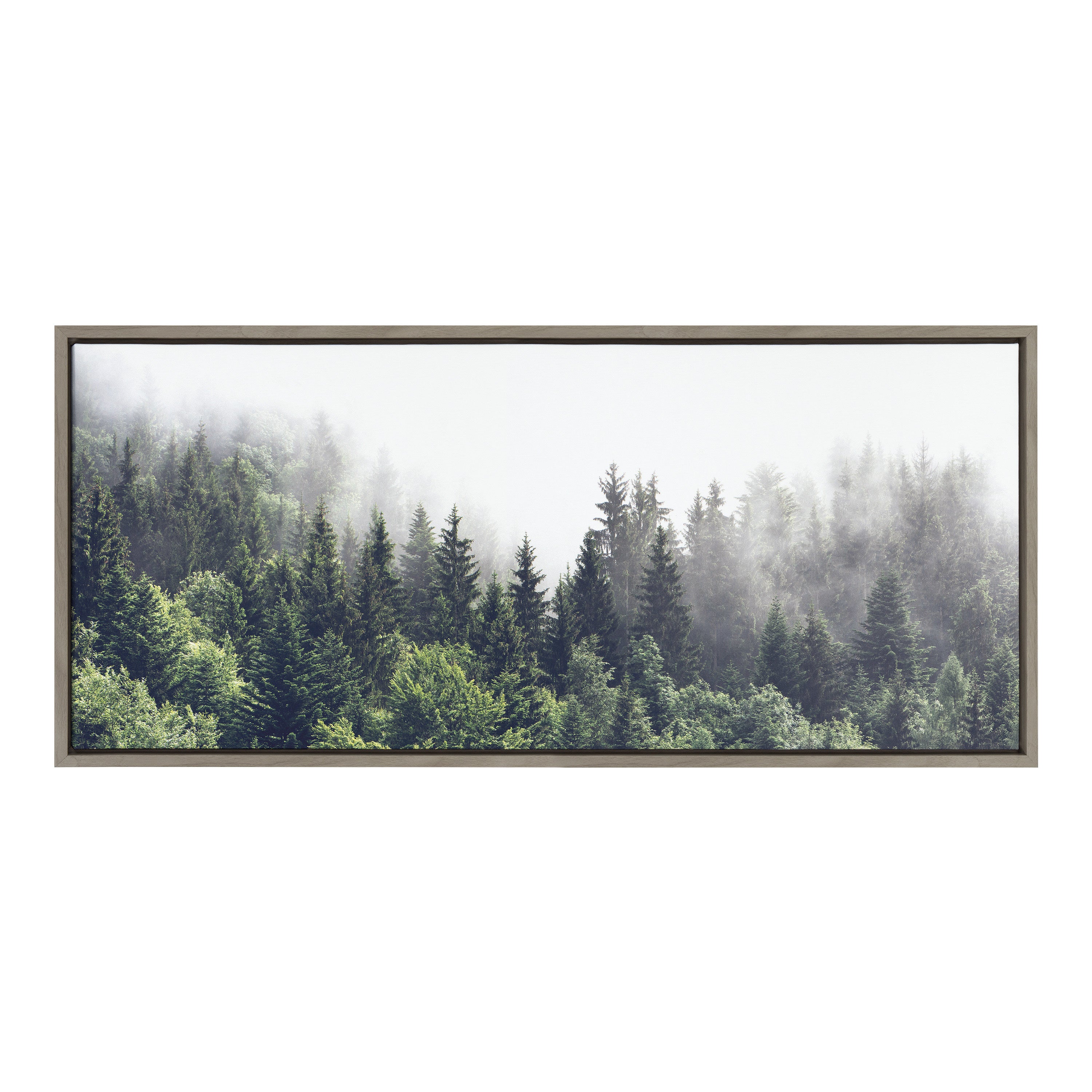 Framed Canvas Sylvie Graywash 18x40 1