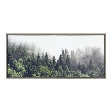 Framed Canvas Sylvie Graywash 18x40 1