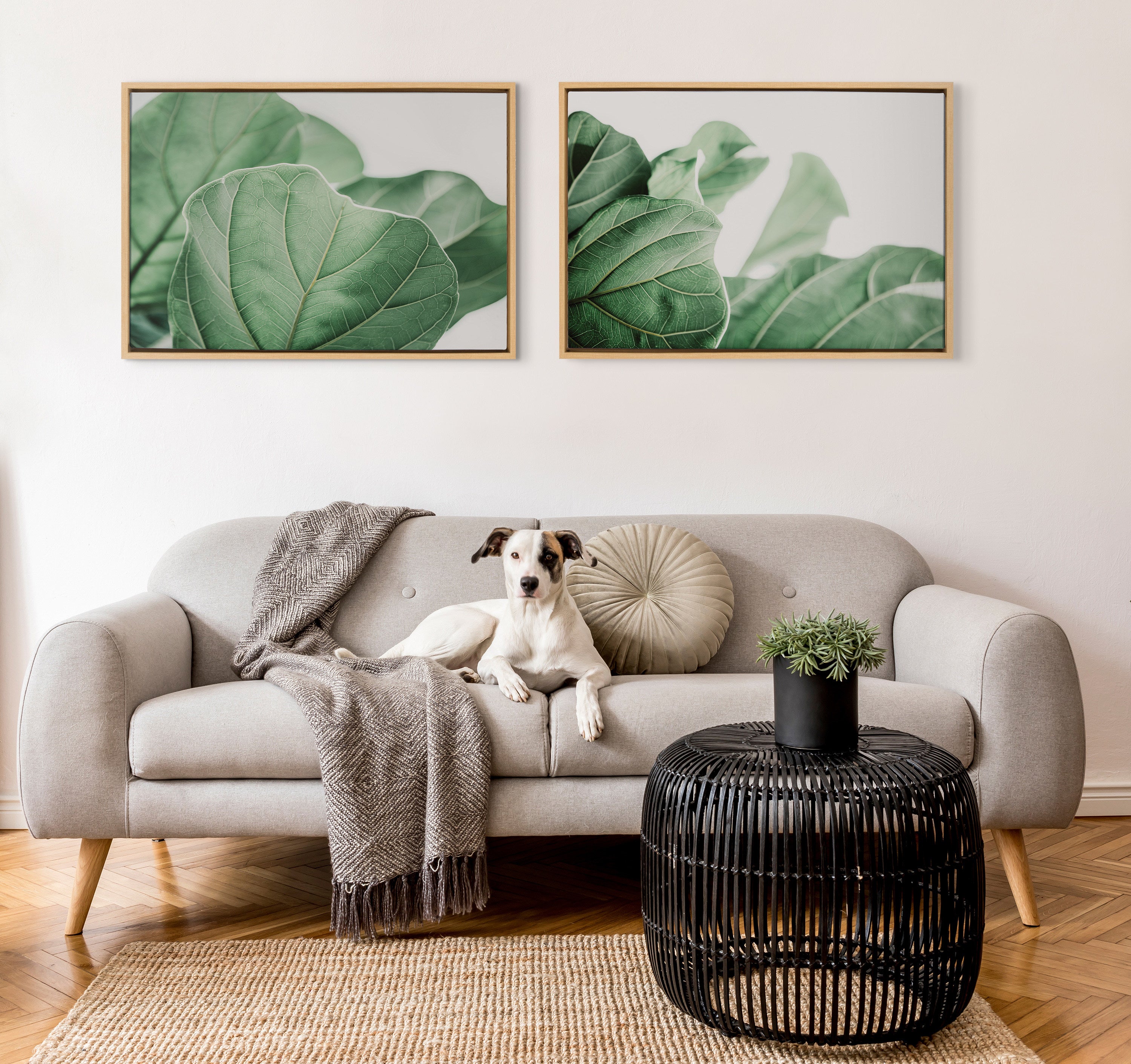 Framed Canvas 23x33 Sylvie Natural 7