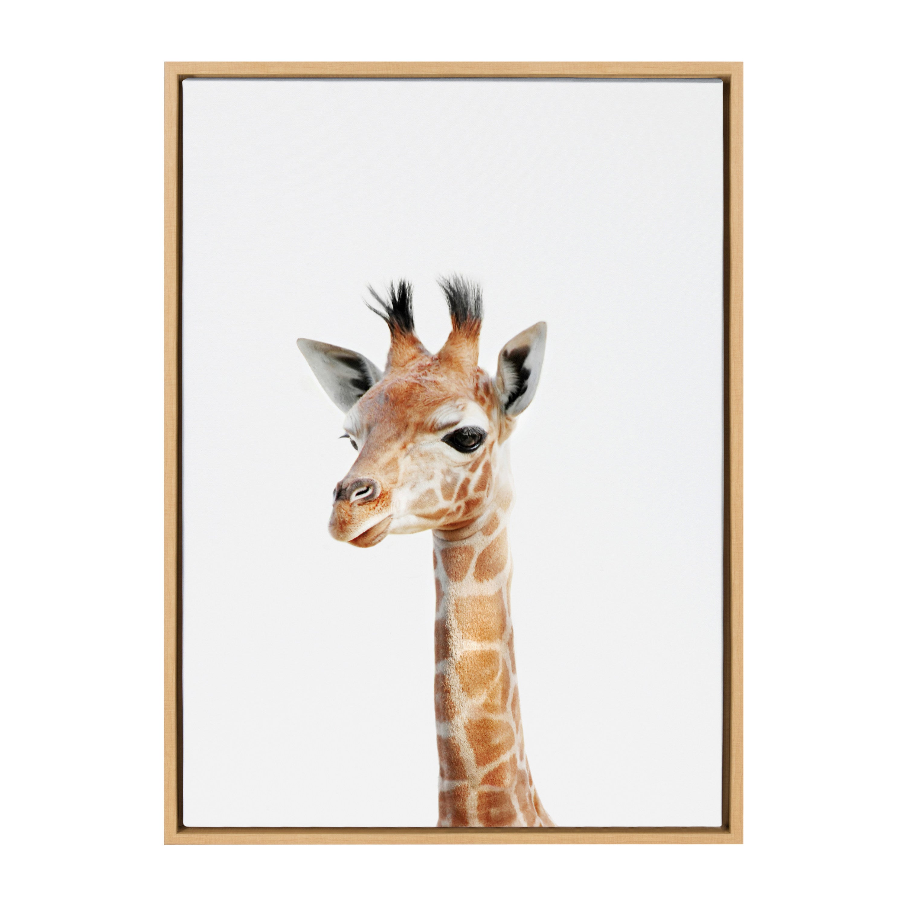 Sylvie Baby Giraffe Framed Canvas by Amy Peterson