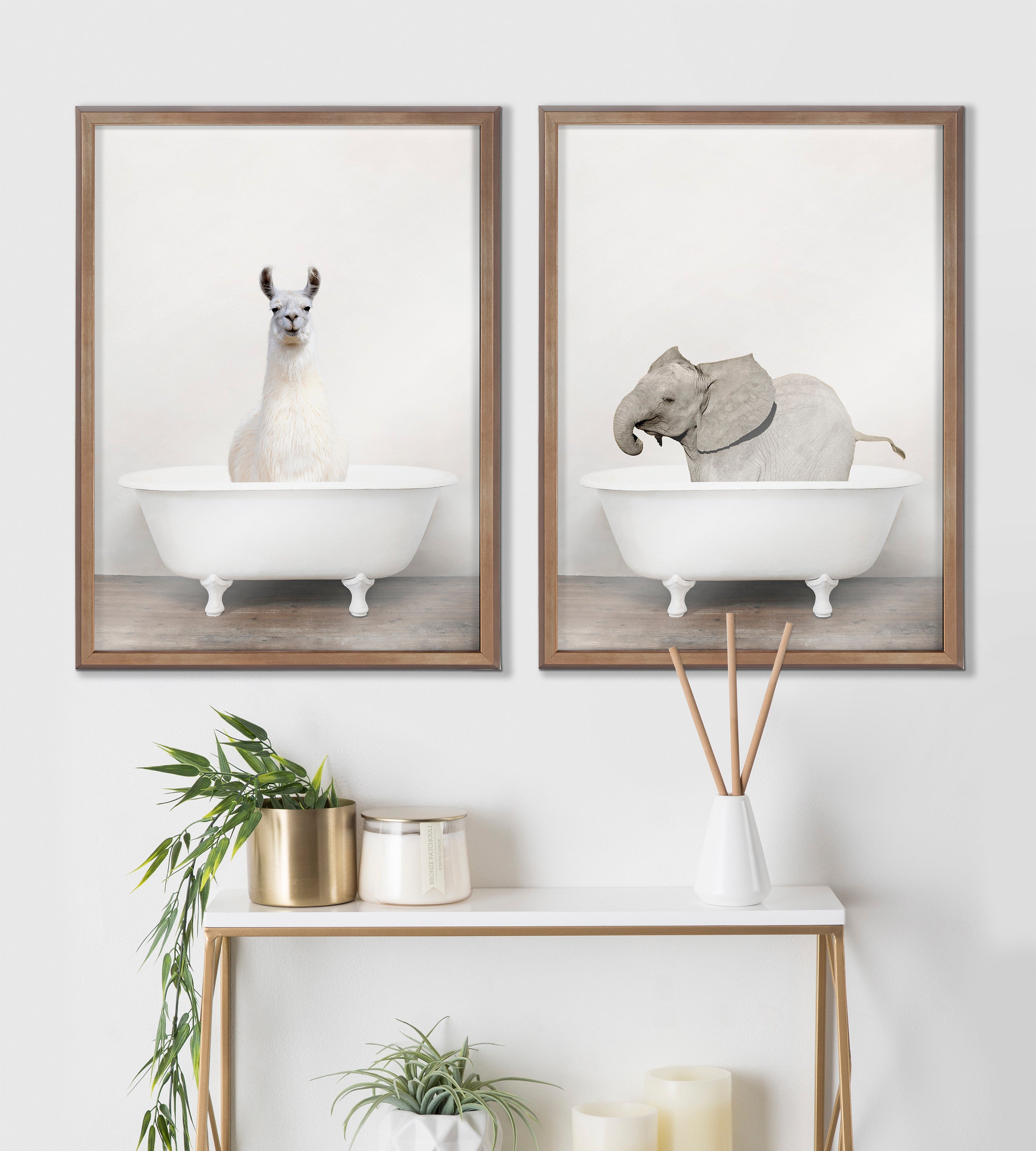 Blake Alpaca in the Tub Color Framed Printed Glass by Amy Peterson Art Studio