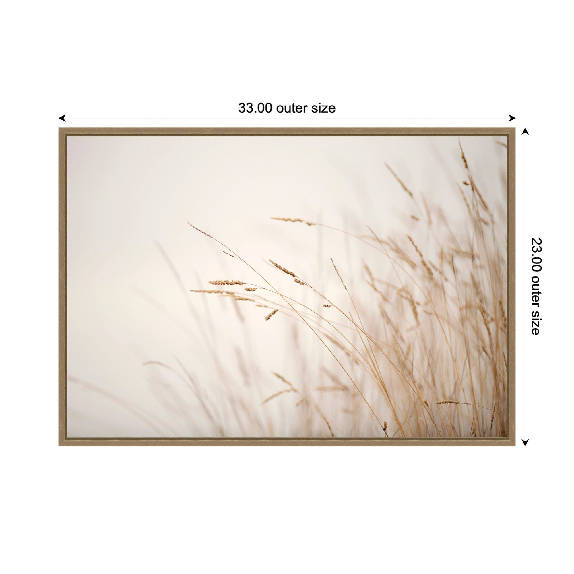 Framed Canvas 33x23 Sylvie Dark Gold 2