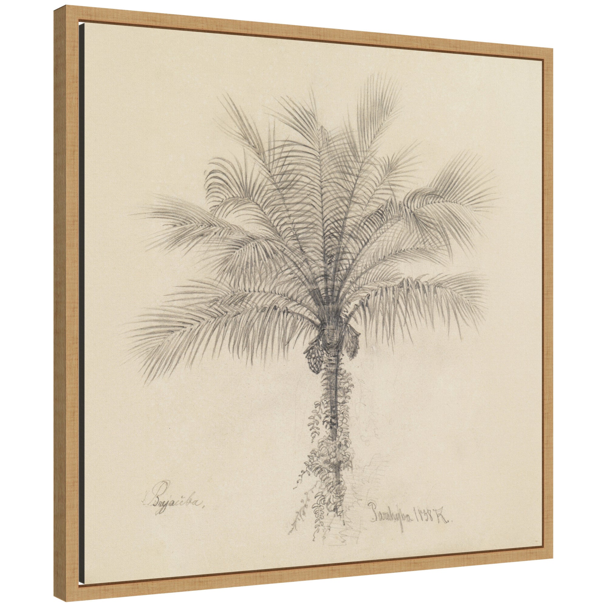 Framed Canvas 22x22 Sylvie Natural 1