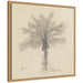 Framed Canvas 22x22 Sylvie Natural 1