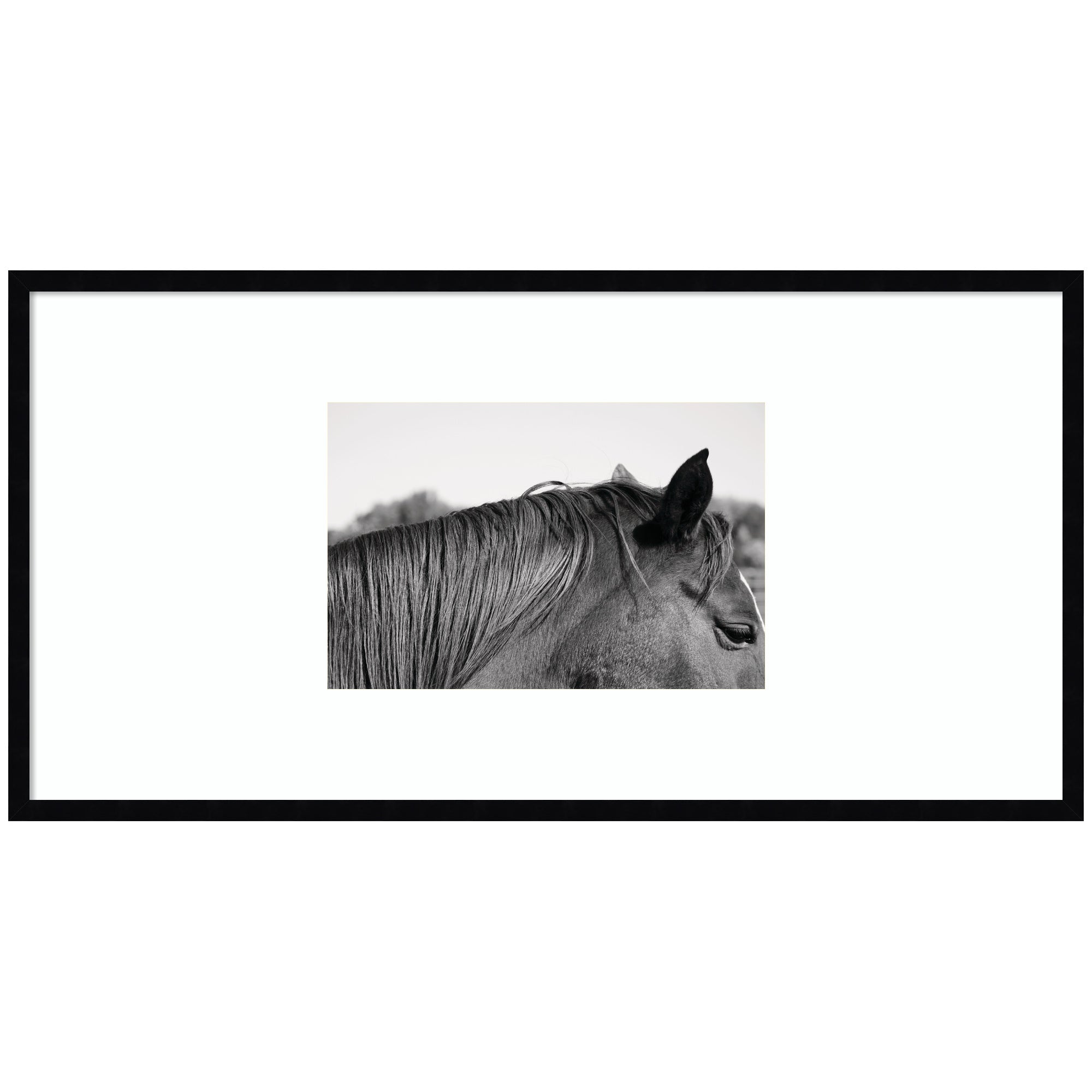 Framed Art Svelte Noir Black 41x21 1