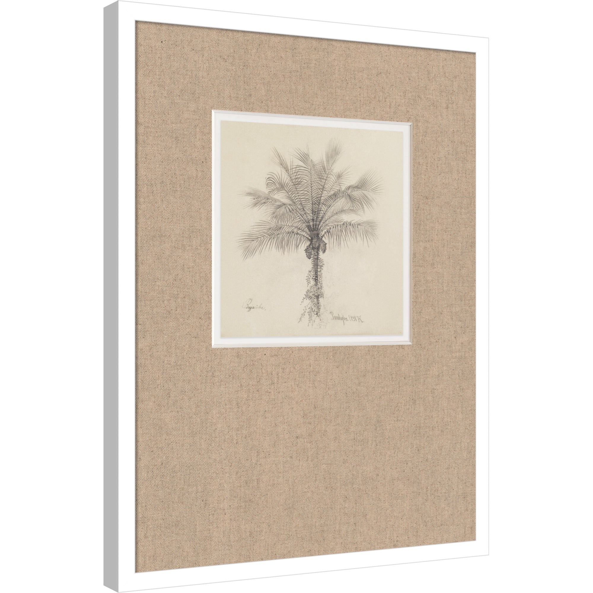 Mounted Canvas 19x25 Svelte White 5