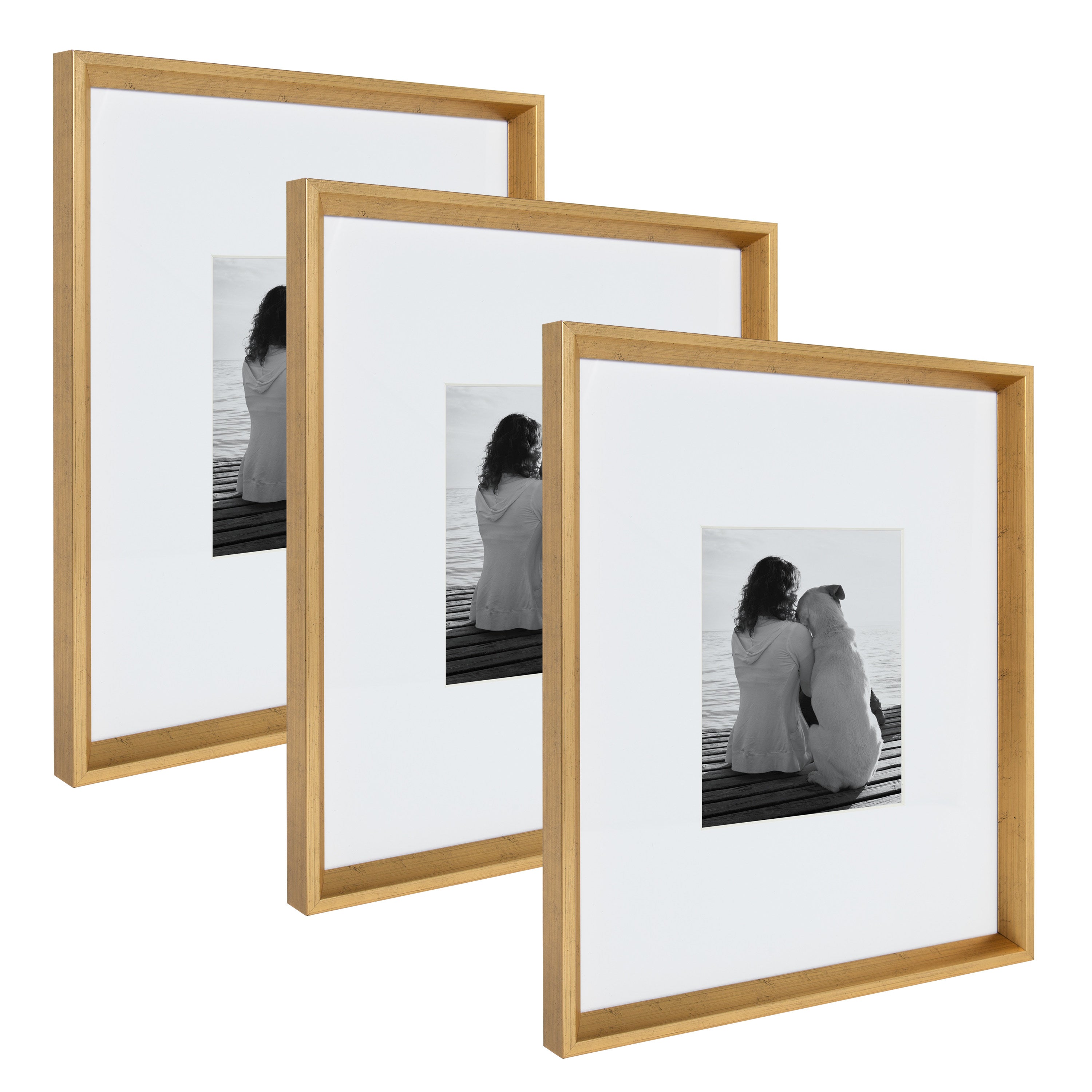 Wall Frame Gold 16x20 matted to 8x10 1