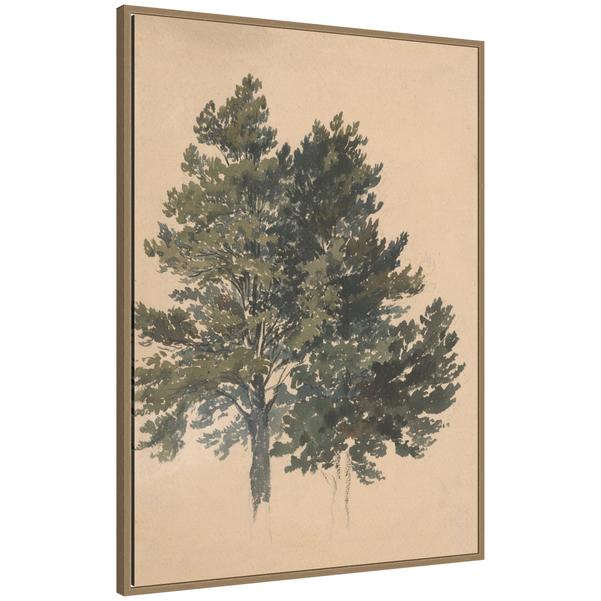 Framed Canvas 28x38 Sylvie Dark Gold 1
