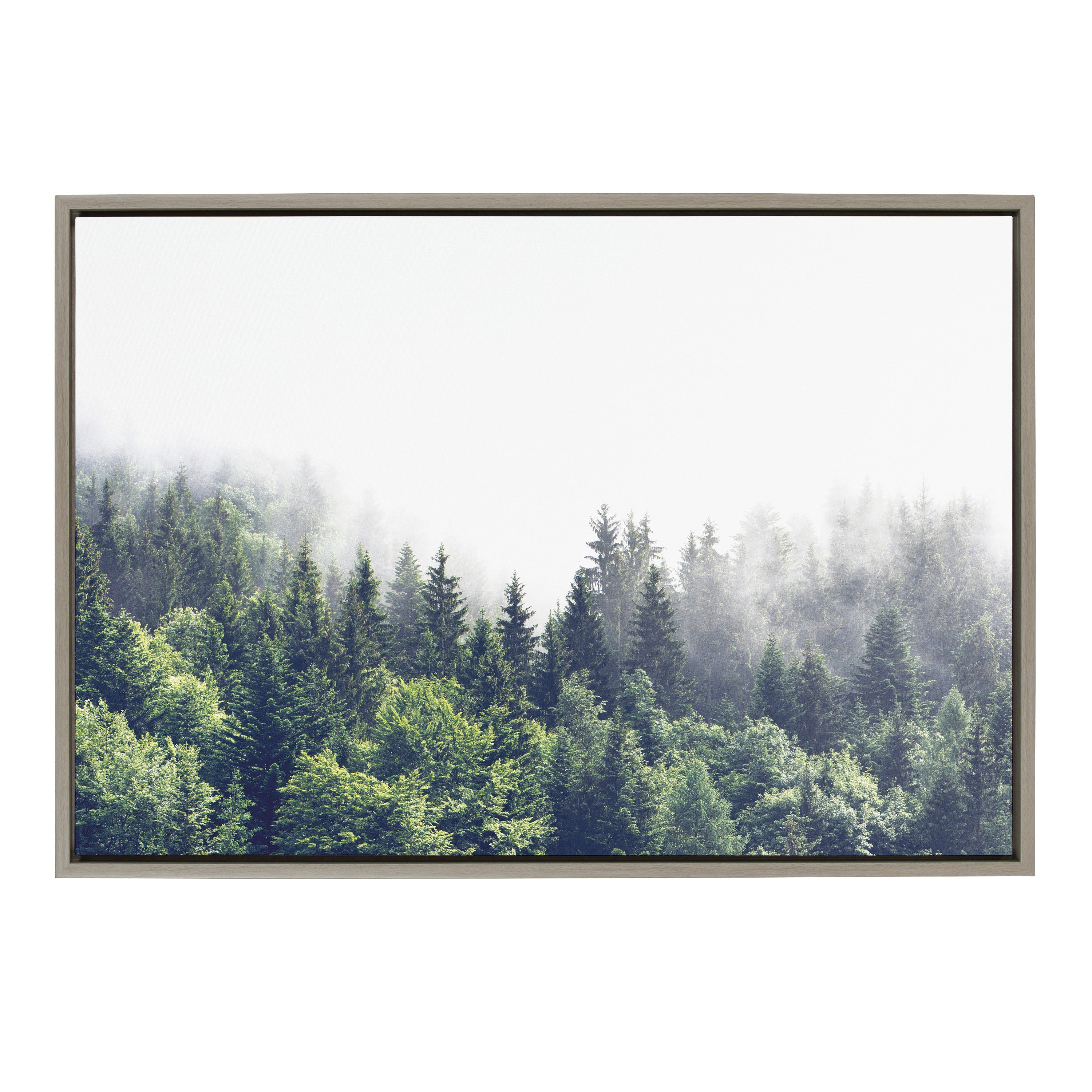 Framed Canvas Sylvie Graywash 23x33 1