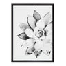 Sylvie Succulent Framed Canvas by Simon Te of Tai Prints