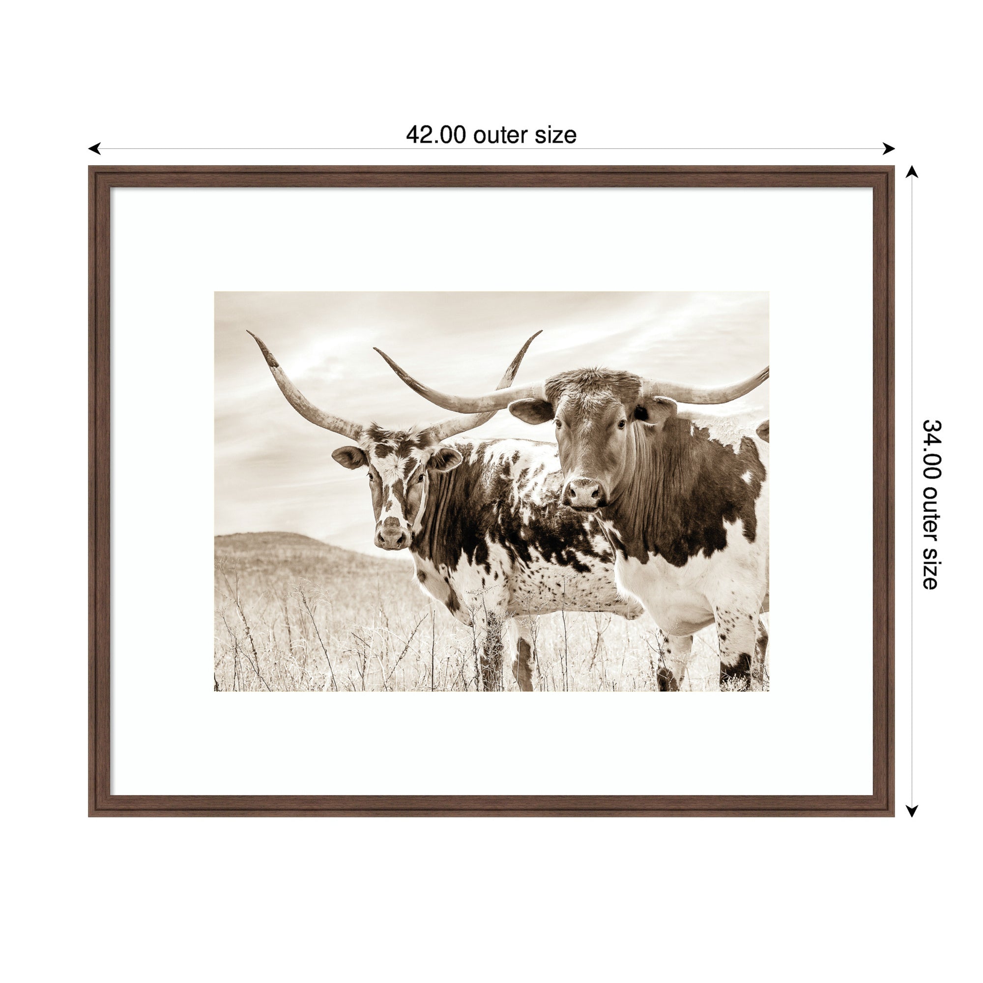 Sepia Texas Longhorn Cattle in Pasture by The Creative Bunch Studio Framed Wall Art Print