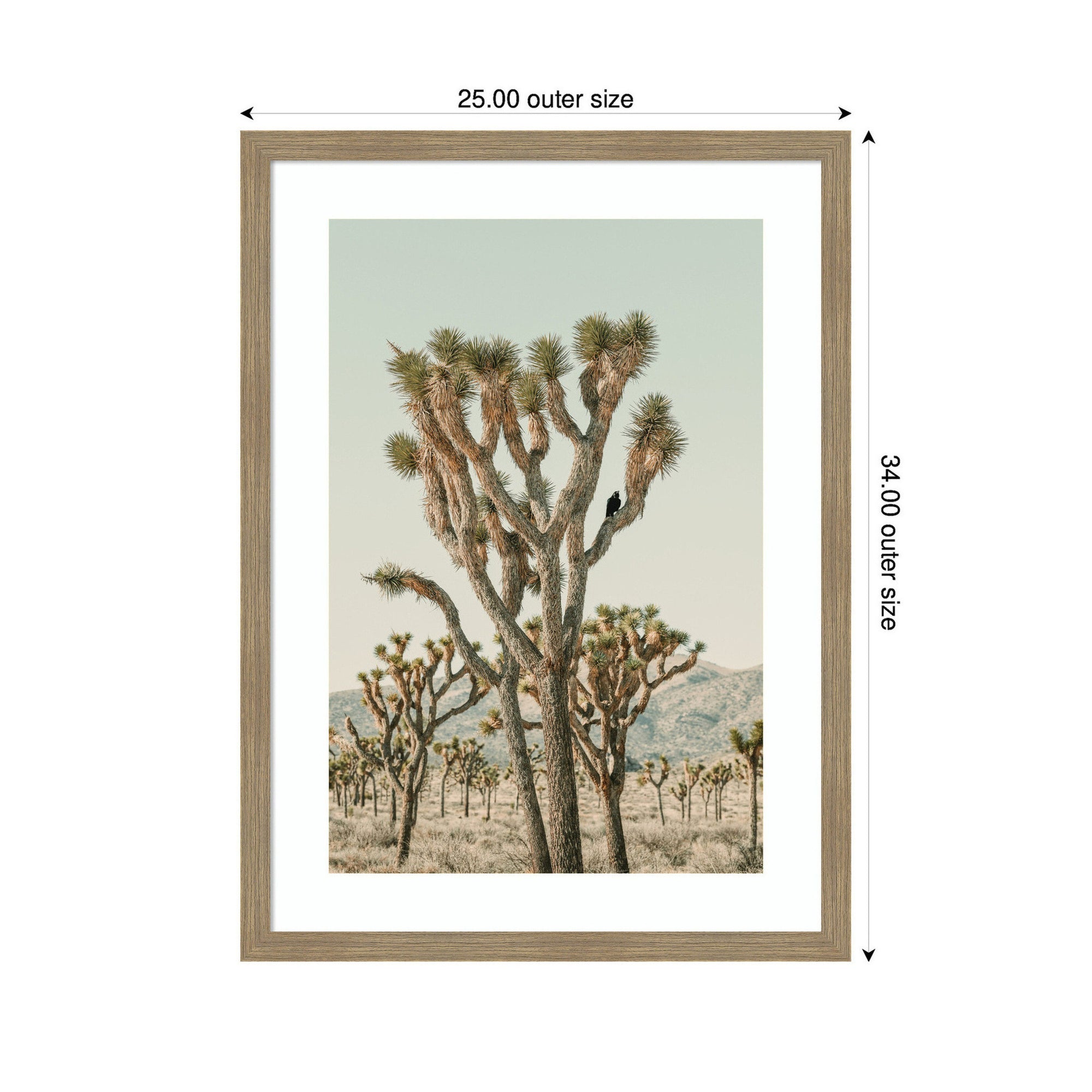 Joshua Tree With Crow by Alicia Bock Framed Wall Art Print