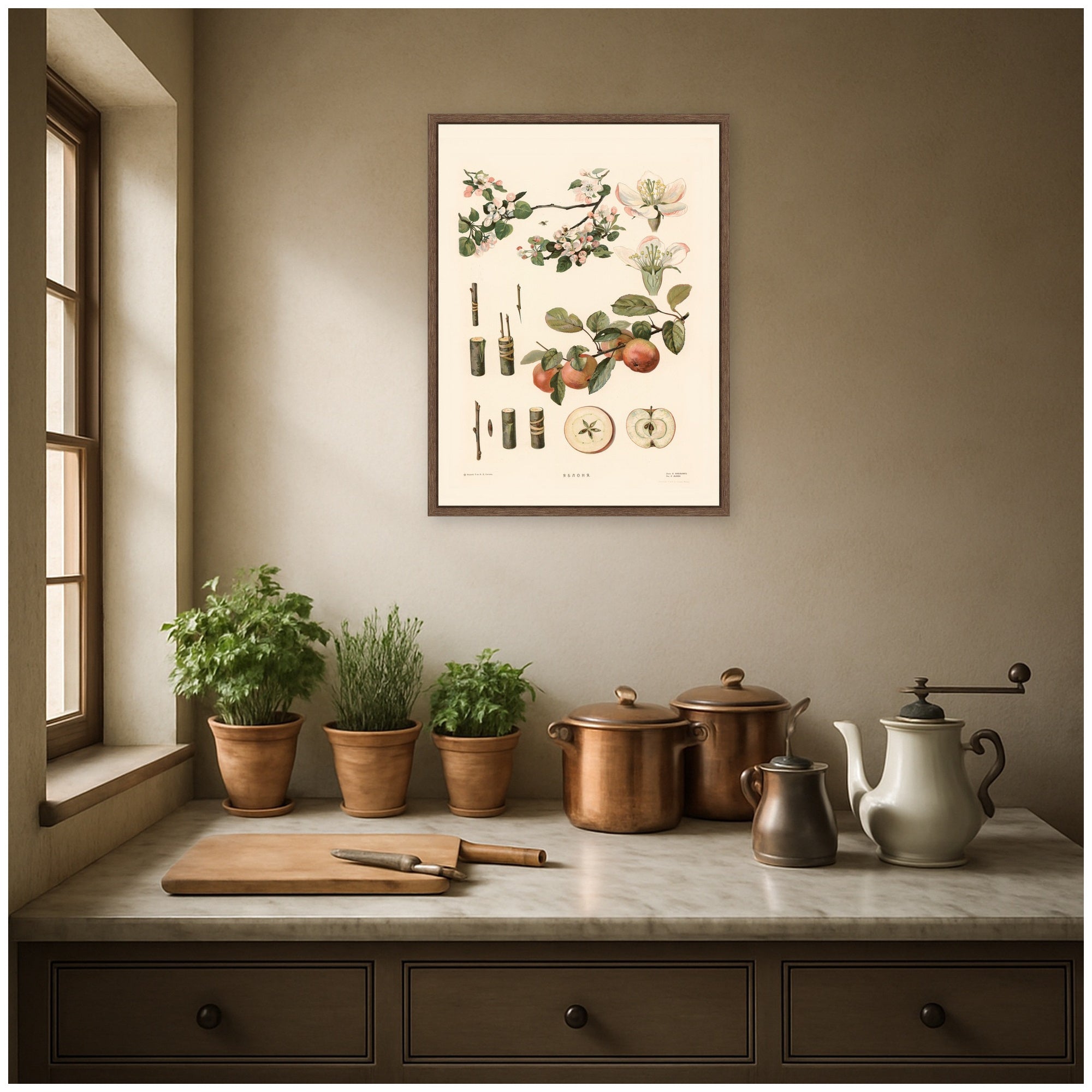 Framed Canvas 18x24 Sylvie Walnut 6