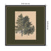 Framed Art 34x34 Belmont Black 2