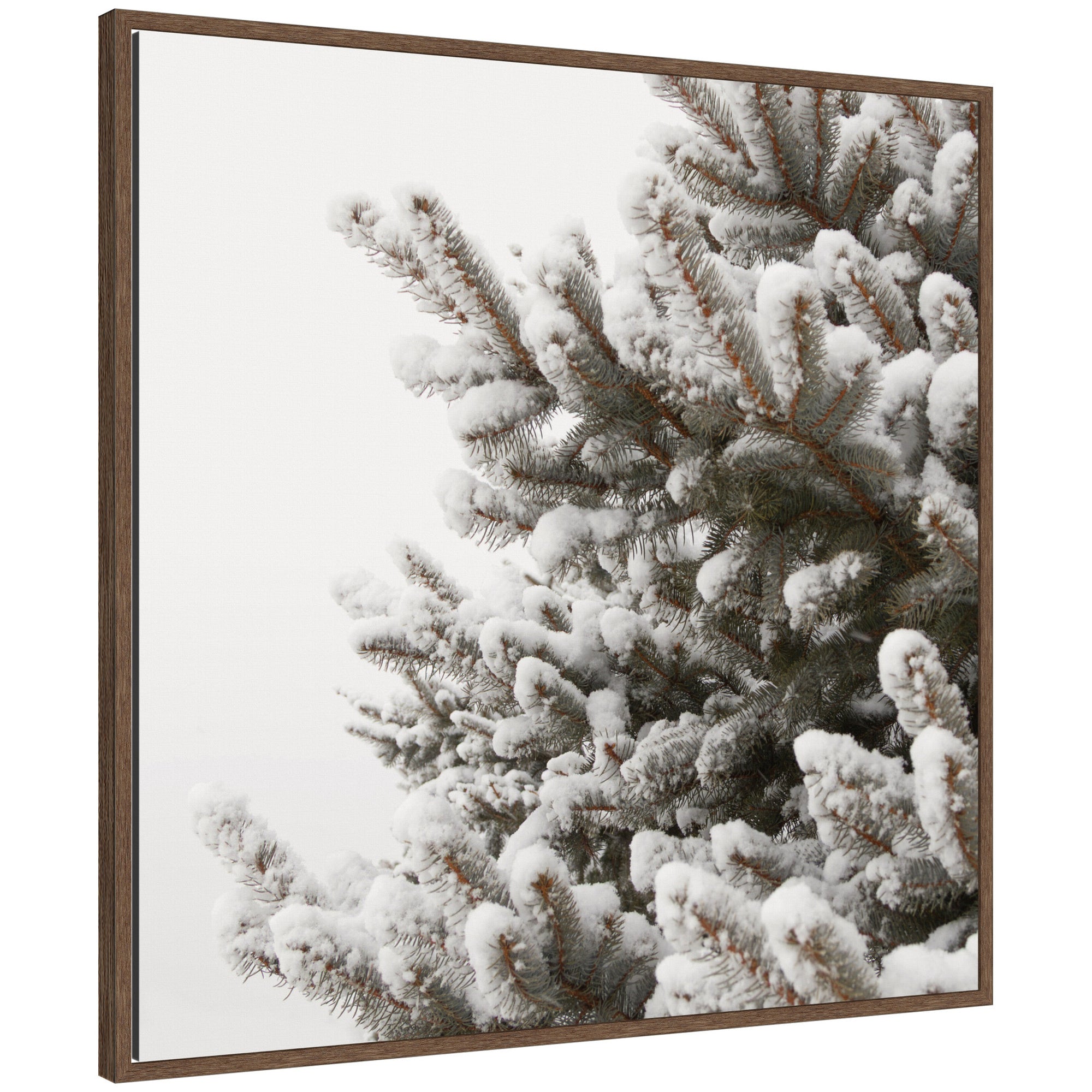 Framed Canvas Sylvie Walnut 30x30 1