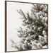 Framed Canvas Sylvie Walnut 30x30 1